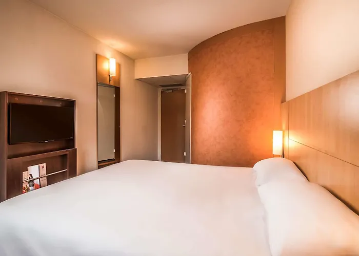 Ibis Cannes فندق